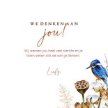Sterktekaart ijsvogels winter 3