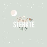 Sterktekaart met roodborstje in wintersfeer 2