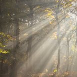 Sterktekaart met zonnestralen 2