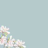 Sterktekaart witte bloesemtakken 2