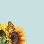 Sterktekaart zonnebloemen vlinder 2