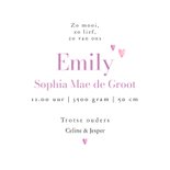 Stijlvol en lief geboortekaartje watercolor vlinder roze  3