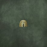 Stijlvol geboortekaartje jongen met goudlook regenboogje Achterkant