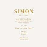 Stijlvol geboortekaartje met een beertje illustratie 3