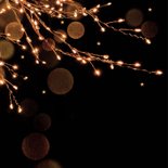 Stijlvol kerstkaartje met kerst lichtjes in takken 2