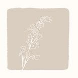 Stijlvolle beige sterktekaart met bloem 2