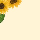 Stijlvolle beterschapskaart met zonnebloemen 2