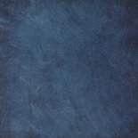 Stijlvolle botanische 21-diner uitnodigingskaart donkerblauw Achterkant