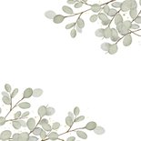 Stijlvolle communie uitnodiging wit met Eucalyptus takjes Achterkant