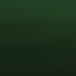 Stijlvolle foto kerstkaart 2026 groen Achterkant