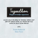 Tegoedbon oppassen klein boefje jongen baby 3