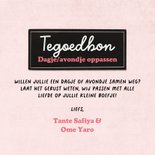 Tegoedbon oppassen klein boefje meisje baby 3