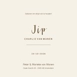 Trendy unisex geboortekaartje met droogbloemen 3