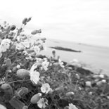 Trouwkaart bloemen en strand Achterkant