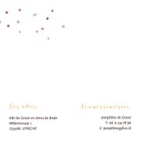 Trouwkaart bruiden fiets en blikjes 2