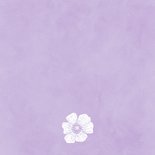 Trouwkaart romantisch anemonen in papierknipkunst Achterkant