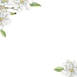 Trouwkaart witte bloesem op fluweel Achterkant