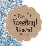 Tweeling 2 jongens muisjes blauw 2