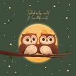 Tweeling geboortekaartje uiltjes maan nacht sterren 2