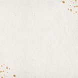 Uitnodiging 1976 met gouden spetters en foto's Achterkant