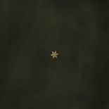 Uitnodiging kerstdiner groen sneeuwvlok goud Achterkant