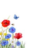 Uitnodigingskaart klaprozen in het veld 2