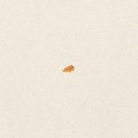 Unisex geboortekaartje herfst takje kraft papier hartje Achterkant
