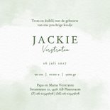 Unisex geboortekaartje met giraf en kinderwagen 3