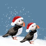 Vakantiekaart kerst op IJsland 2