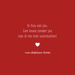 Valentijn elfje liefste liefde 3