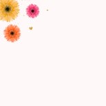 Valentijnskaart kleurrijke gerbera bloemen hartjes liefde 2