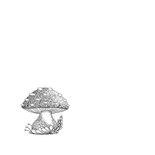 Verhuiskaart paddenstoelen 2