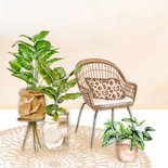Verhuiskaart rotan stoel met planten 2