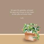 Verhuizen hangstoel bamboe 3