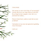 Verjaardag - Eekhoorntjes vieren verjaardag 3