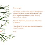 Verjaardag - Eekhoorntjes vieren verjaardag 3