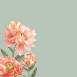 verjaardag felicitatie roze pioenroos 2