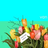 Verjaardag - hond met tulpen 2