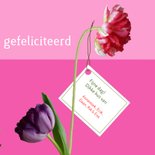 Verjaardag - kat met kleurige tulpen 3