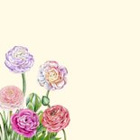 Verjaardagkaart ranonkelbloemen 2