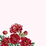 Verjaardagskaart botanische rode pioenrozen 2