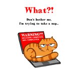 Verjaardagskaart boze kat loopt over laptop 2