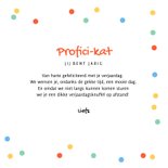 Verjaardagskaart feestelijk katten confetti proficikat 3