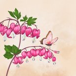 Verjaardagskaart gebroken hartjes plant 2