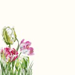 Verjaardagskaart gekleurde tulpen voorjaar 2