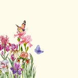 Verjaardagskaart irisbloemen 2