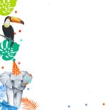 Verjaardagskaart jongetjes wilde dieren 2