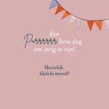 Verjaardagskaart kat voor het raam in New York 3