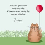 Verjaardagskaart - katten met ballonnen 3