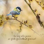 Verjaardagskaart koolmees op tak Hamamelis 2